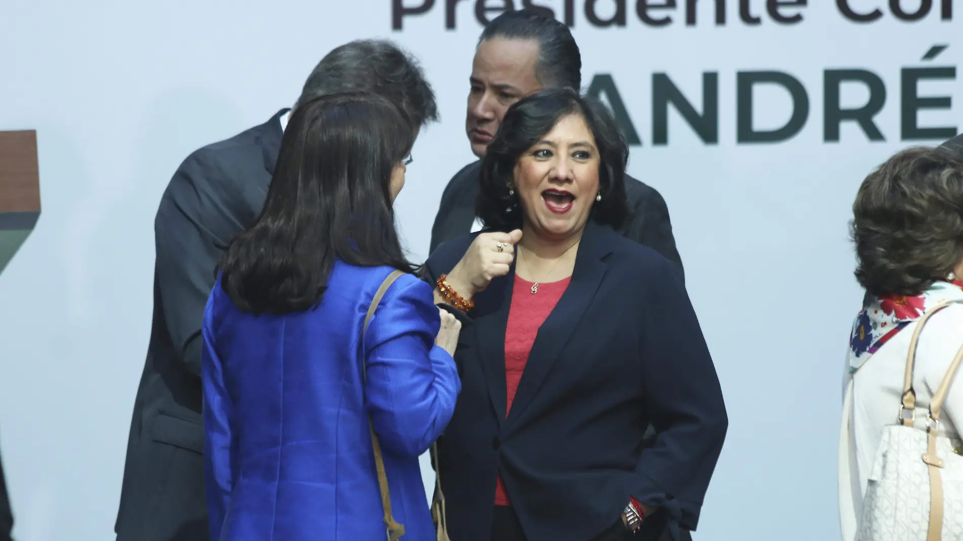 Irma Erendira Sandoval-Secretaria de la Funcion Publica-SFP-informe de gobierno-invitados (4)